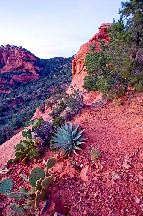 Life on Snebly Hill (Sedona AZ)