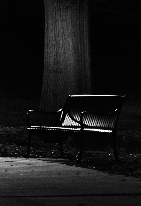 Park Bench