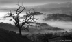 Fog in the Valley