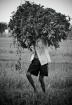 Burden