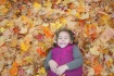 Fall's memory
