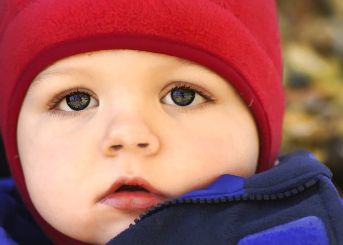 My Red Hat - ID: 5342744 © Laurie Daily