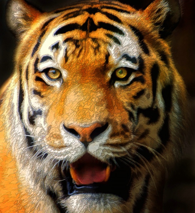 Tiger Art Close-Up