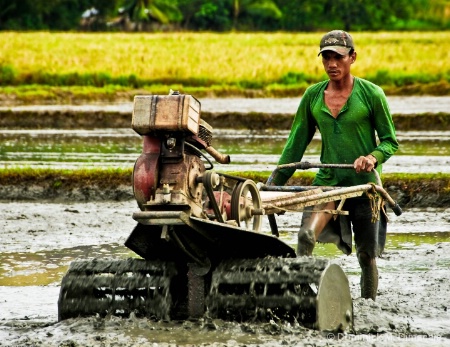 ~ ~ THE RICE FARMER'S NEW GADGETS ~ ~