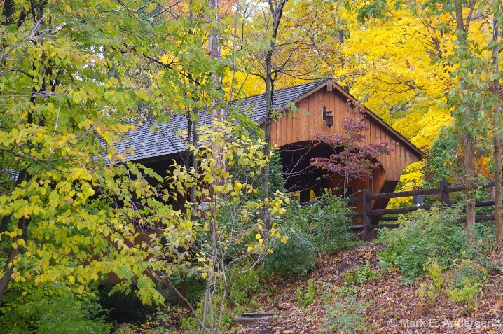 Fall in Olmstead Falls