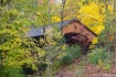 Fall in Olmstead ...
