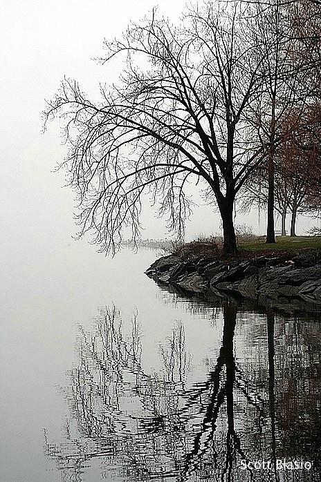 Foggy Reflection.....