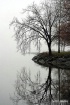 Foggy Reflection....