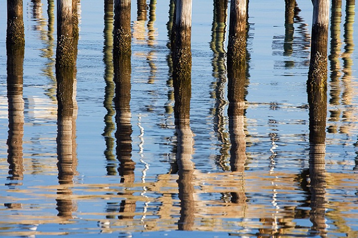 Mobile Bay Reflections