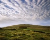 Copse Glenlivet