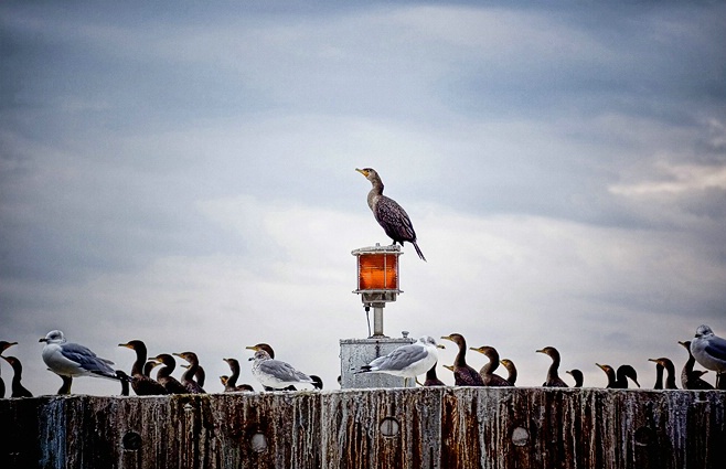 On His Throne