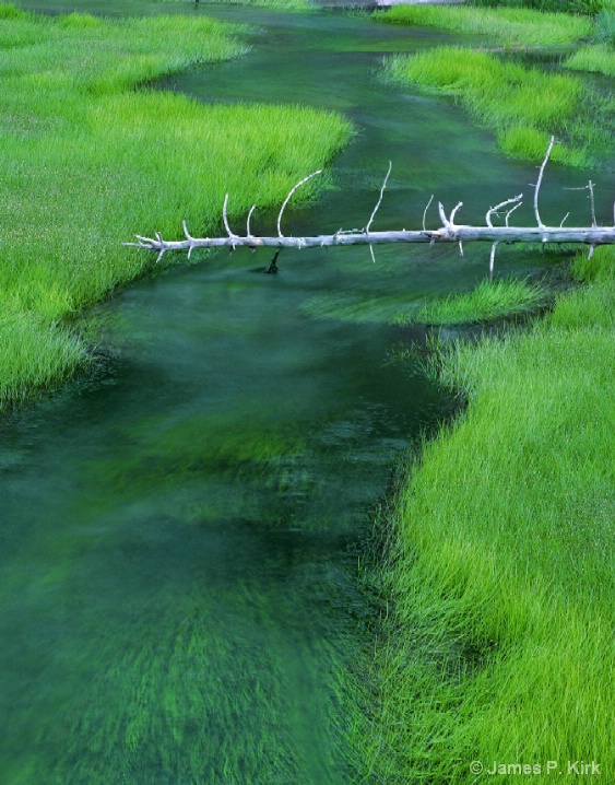 Obsidian Creek YNP (Lifes Circle)