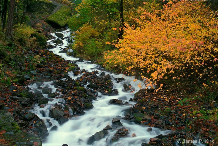 Below Horse Tail Falls