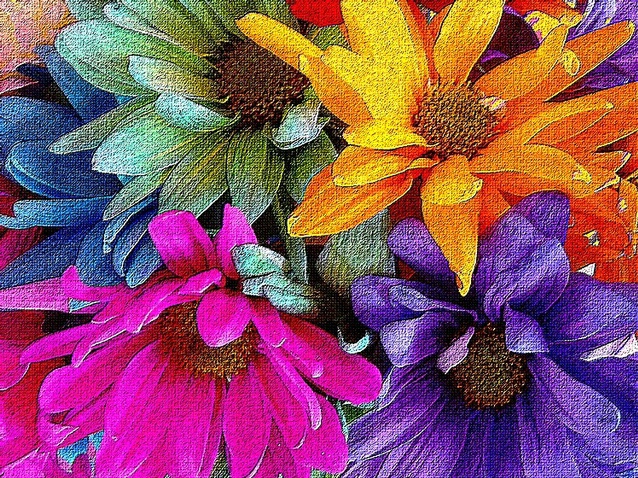 Colorful Flowers 