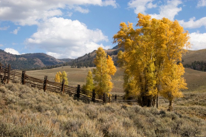 Lamar Valley Ranger Station - ID: 5389253 © James R. Lipps
