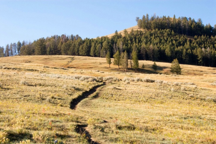 Follow the track up the hill - ID: 5389259 © James R. Lipps