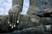 Buddha Hand 