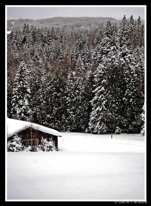 Vermont Barn