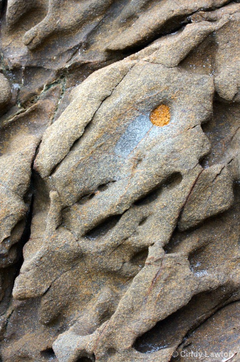 Abstracts in Nature - Beach Rock