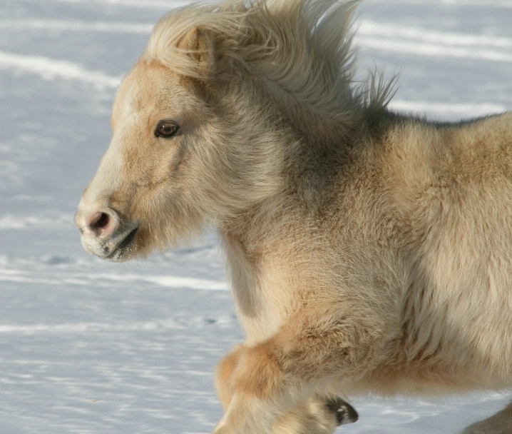 In a race by herself