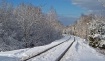 Snowy Tracks