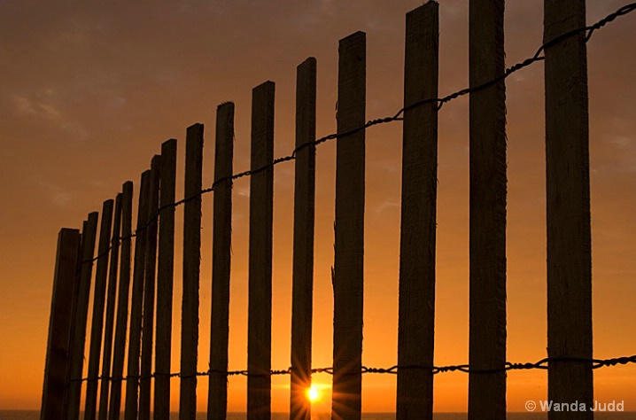 Sun and Fence