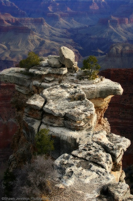 - The Grand Canyon -
