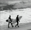 Surfer Dudes