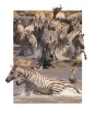 Crossing the Mara