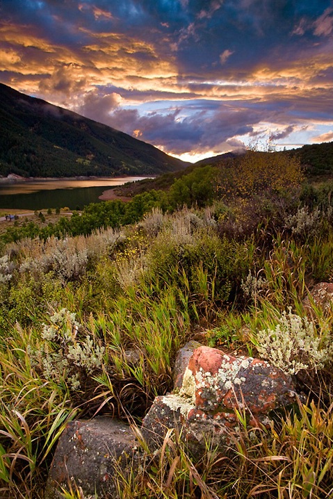 Red Rock Moss