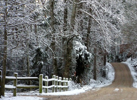 Snowy Lane 