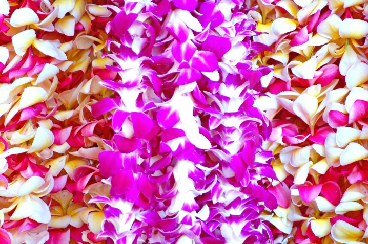 Hawaiian Leis