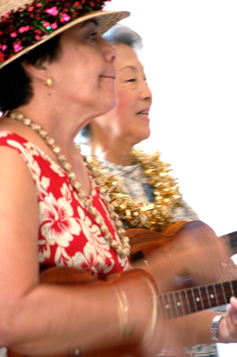 Hawaiian Welcome