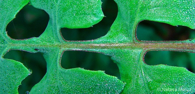 img9