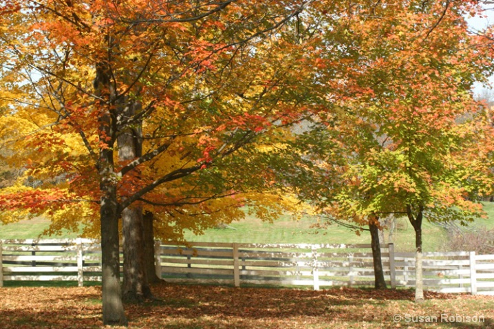 fall at Watkins Mill