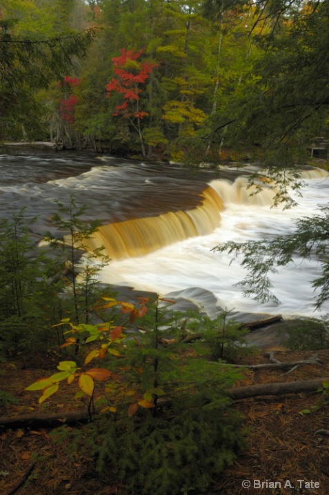 Tahquamenon Falls 2