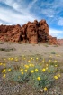 Valley of Fire S....