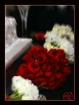 Flower Zoom