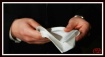 The Fold