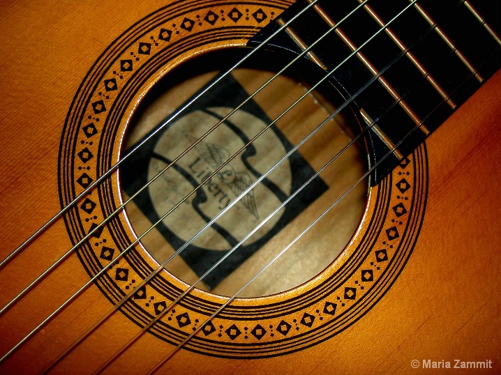 Guitar detail