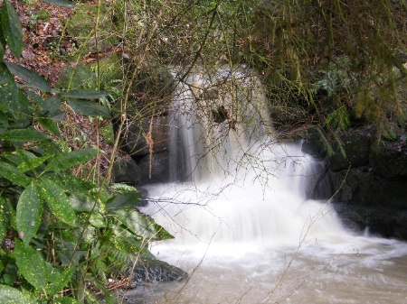 small falls trial