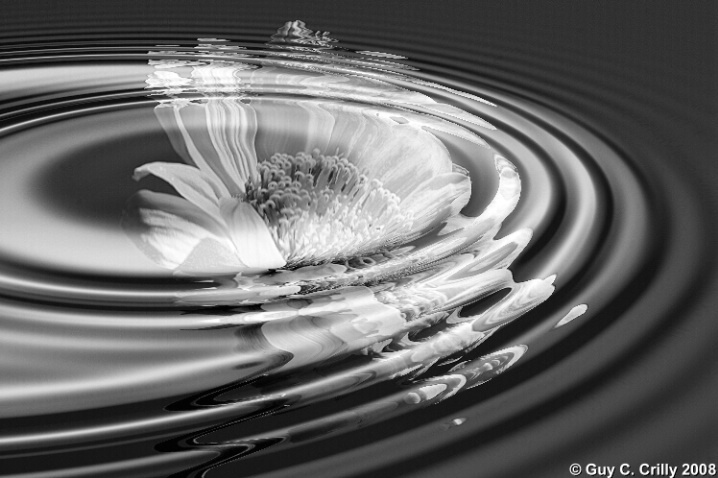 B&W Balsamroot Ripple