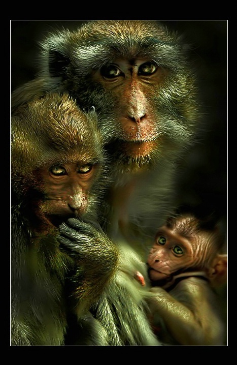 Little Boy's Family