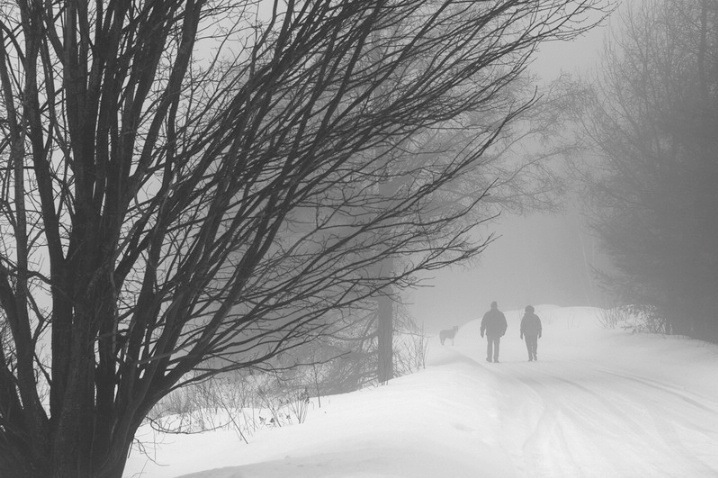 Winter Stroll