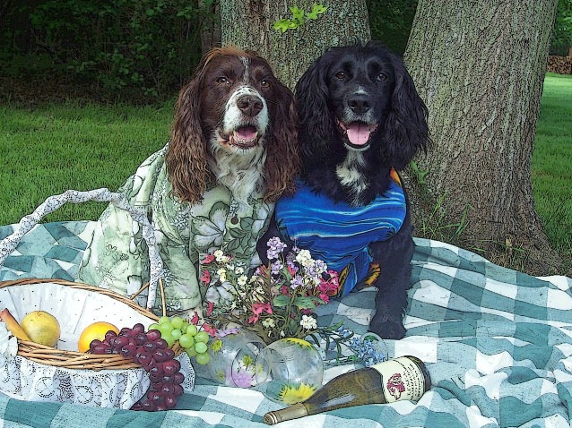 Picnic For Two - ID: 5439464 © Kim L. Ludwig
