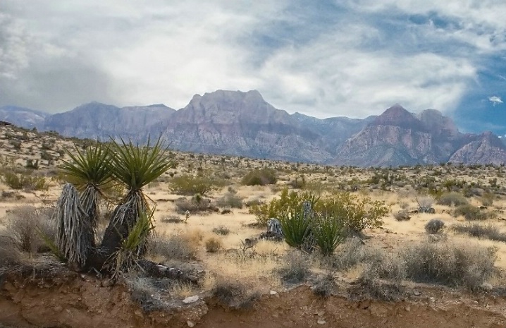 VISTA IN RED ROCK CANYON