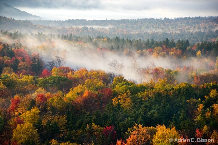 Molly Stark Trail, Vermont