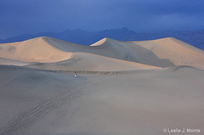 Walking on the Dunes, Death Valley - ID: 5456802 © Leslie J. Morris