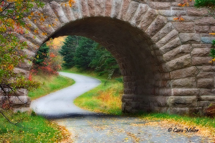 Wherever You Lead I Will Go - Acadia NP