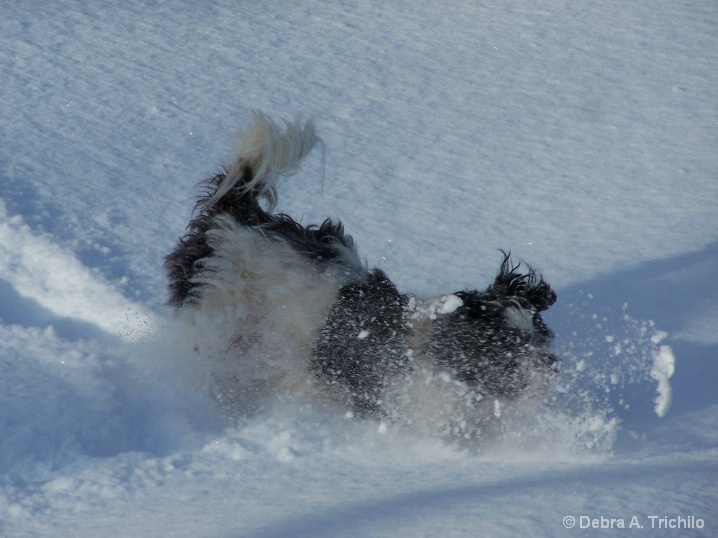 Maija Loves the Snow